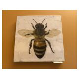 Bee canvas wall decor