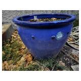 Flower pot, contents included
