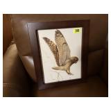 Owl artwork