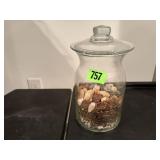 Glass jar terrarium