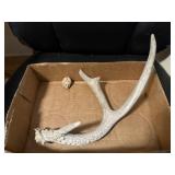 Deer shed, stone carving