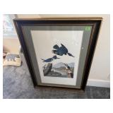 Audubon bird artworkmatted & framed print 35" x
