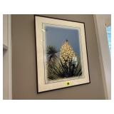 Botanical artwork