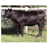 K M J MS NATIONAL D329