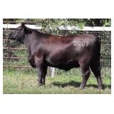 K M J MS DELGADO D207