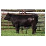 K M J MS SFORCE D328