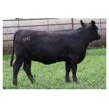 K M J MS SFORCE D106