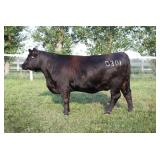 K M J MS SFORCE D301