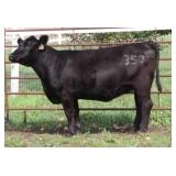 K M J MS SFORCE C350