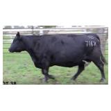 RAB MS OBJECTIVE 716X