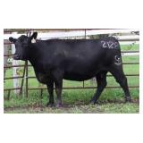 CHAIR ROCK 5050 G A R 2128