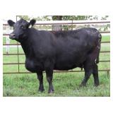 CHAIR ROCK 5050 G A R 1032