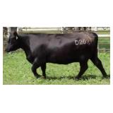 K M J MS DELGADO D209