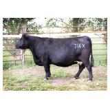 RAB MS OBJECTIVE 716X