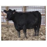 K M J MS OLIE77 B359