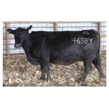 RAB MS RITO REVENUE 4658Y