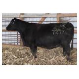 RAB MS FINAL ANSWER 727X