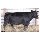 RAB MS FINAL ANSWER 893Z