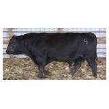 K M J Final Score C4