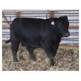 K M J Clear Vision C45