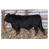 K M J Final Answer D95