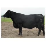 Chair Rock Predestined 9036