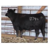 K M J MS SFORCE B344