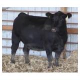 Chair Rock Complete 3018