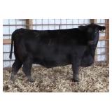 RAB-GAR MS FINAL ANSWER 4721