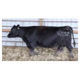 RAB MS Final Answer 4755Z