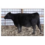 RAB MS FINAL ANSWER 790Y