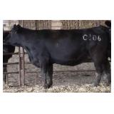 K M J MS SFORCE C106