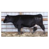 K M J MS SFORCE C108