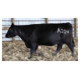 K M J MS NATIONWIDE A204