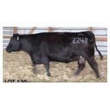 HRM MS COMBINATION Z248