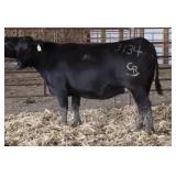 CHAIR ROCK 5050 G A R 3134