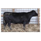 CHAIR ROCK COMPLETE 2166