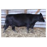 Chair Rock Daylight 2148