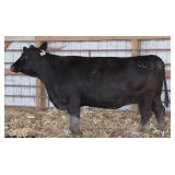 CHAIR ROCK IN SURE 2037