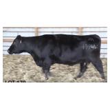 RAB-GAR MS FIN ANSWER 4994W