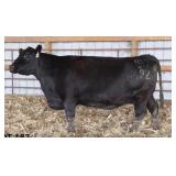 RAB MS FINAL ANSWER 869Z