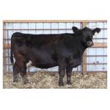 K M J A105 COMMANDER