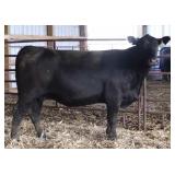 CHAIR ROCK INGENUITY 3111