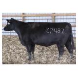 WINDCHIME MIGNONNE 2487