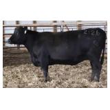 CHAIR ROCK 5050 G A R 2126