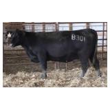 K M J MS PROPHET B301