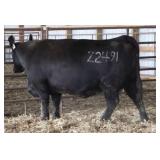 WINDCHIME DELIA 2491