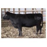 K M J MS OLIE77 B355