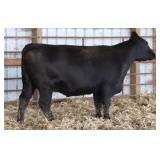 K M J MS INGENUITY A206