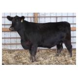 K M J MS PROGRESS C201